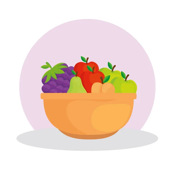 Свежие и здоровые фрукты в миске — стоковый вектор
