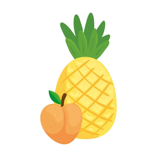Färska frukter, persika och ananas, i vit bakgrund — Stock vektor
