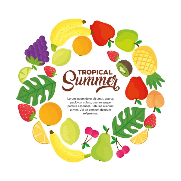 Tropical summer banner, with round frame of fresh fruits — Stock Vector