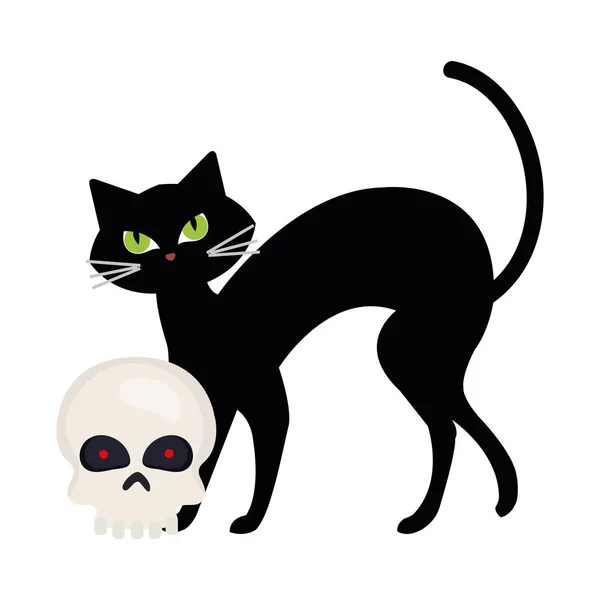 Halloween, aranyos fekete macska és koponya fehér háttér — Stock Vector