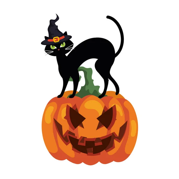 Halloween citrouille et chat avec chapeau sorcière sur fond blanc — Image vectorielle