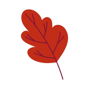 Sonbahar mevsimi yaprak bitkisi simgesi