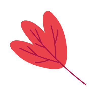 Sonbahar mevsimi yaprak bitkisi simgesi