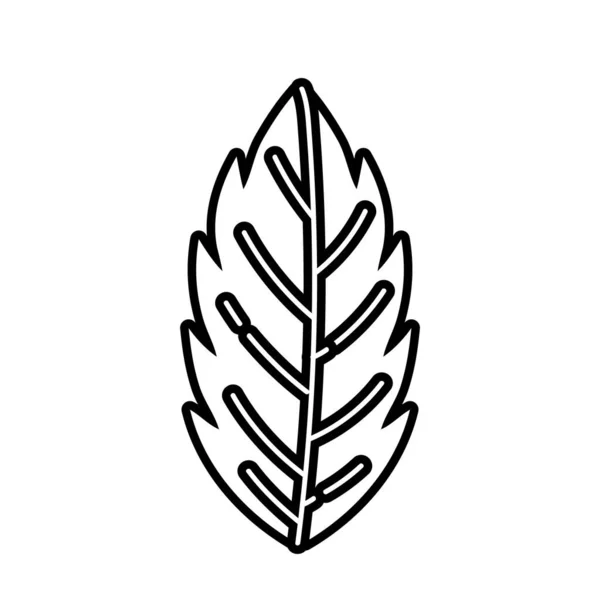 Jesień sezon liść roślina linia styl ikona — Wektor stockowy