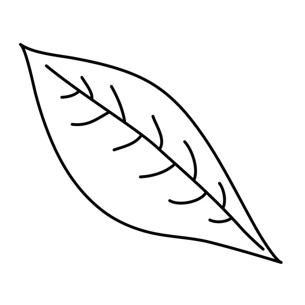 Blatt Natur Pflanze Ökologie Symbol — Stockvektor