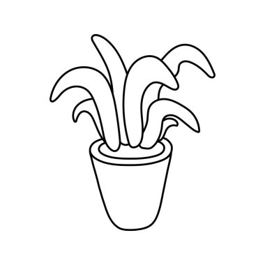 seramik saksı çizgisi biçiminde ev bitkisi