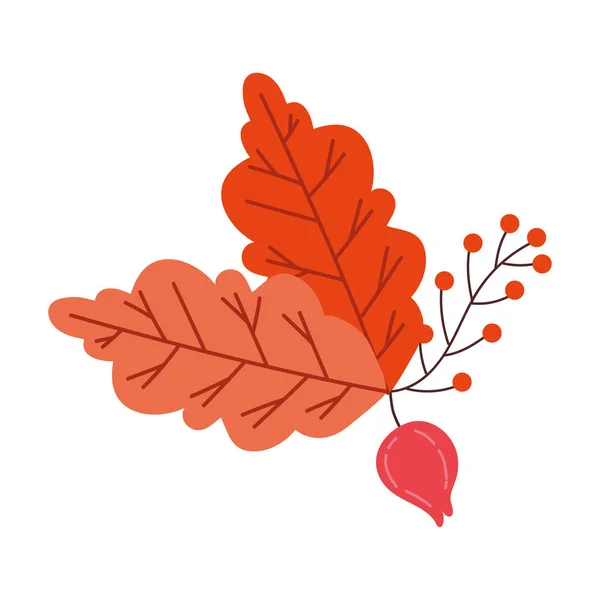 Őszi szezon levelek és magvak botanikai dekoráció — Stock Vector