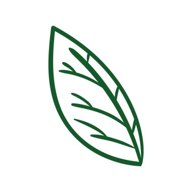 Ekoloji yaprağı bitkisi ikonu izole