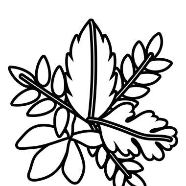 Sonbahar yaprakları bitki deseni dekorasyon tarzı