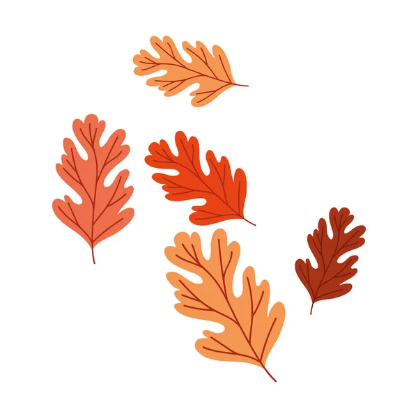 Autumn season leafs plant pattern decoration — Stock Vector