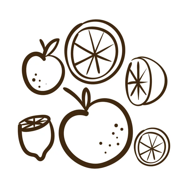 Establecer cítricos icono de estilo de línea de frutas — Vector de stock