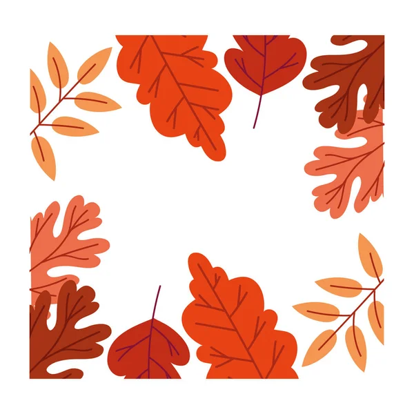 Őszi szezon levelek botanikai keret dekoráció — Stock Vector