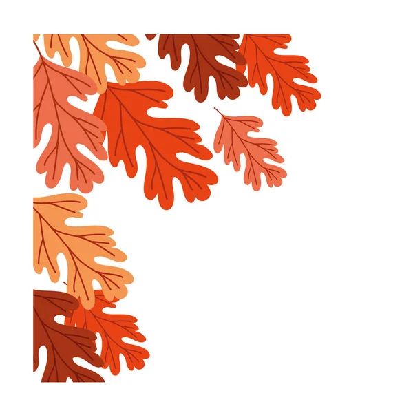 Autumn season leafs botanical frame decoration — Stock Vector