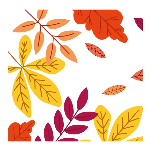 Autumn season leafs plant colorful pattern decoration — Stock Vector