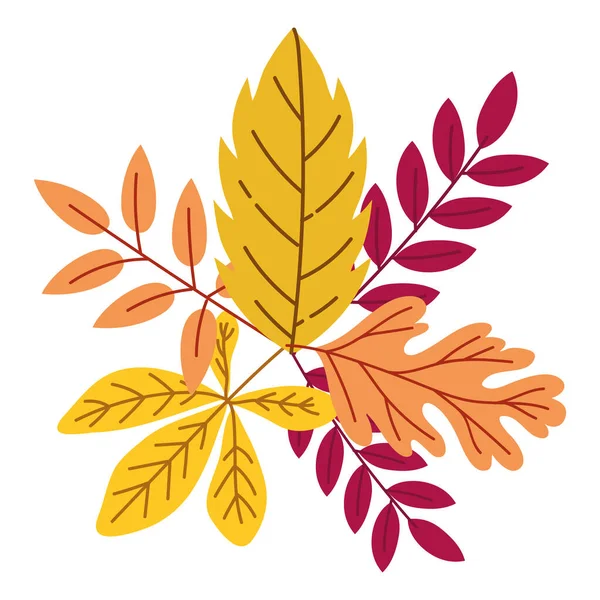 Otoño temporada hojas planta colorido patrón decoración — Vector de stock