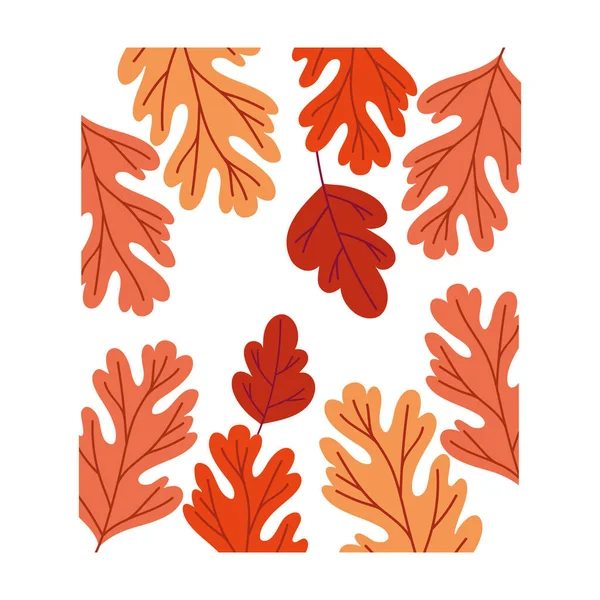 Őszi szezon levelek növény színes minta dekoráció — Stock Vector