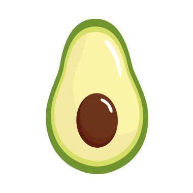 Beyaz arka planda taze avokado sebzesi