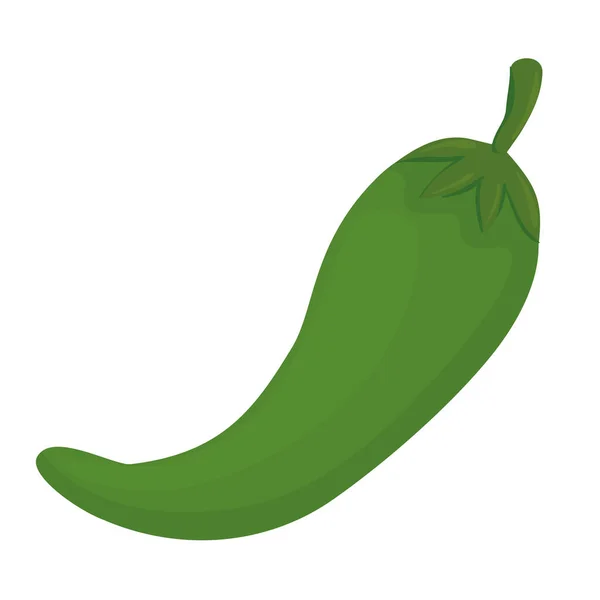 Grön chili peppar grönsaker i vit bakgrund — Stock vektor