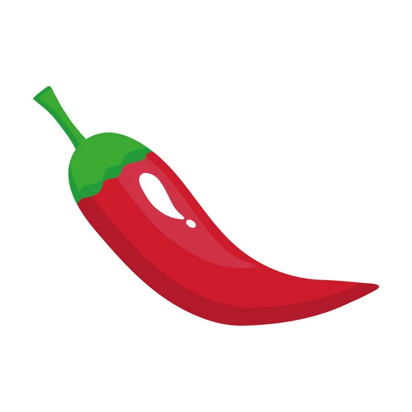 Pimiento rojo vegetal en fondo blanco — Vector de stock