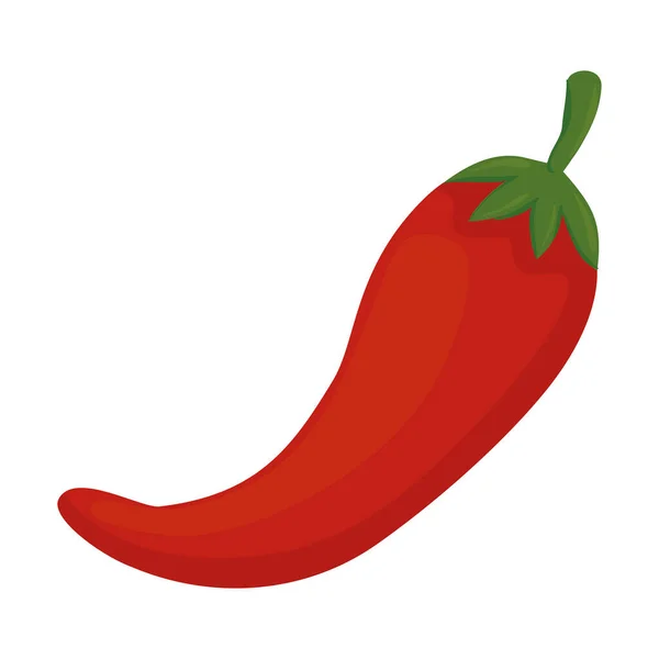 Rote Chilischote Gemüse auf weißem Hintergrund — Stockvektor