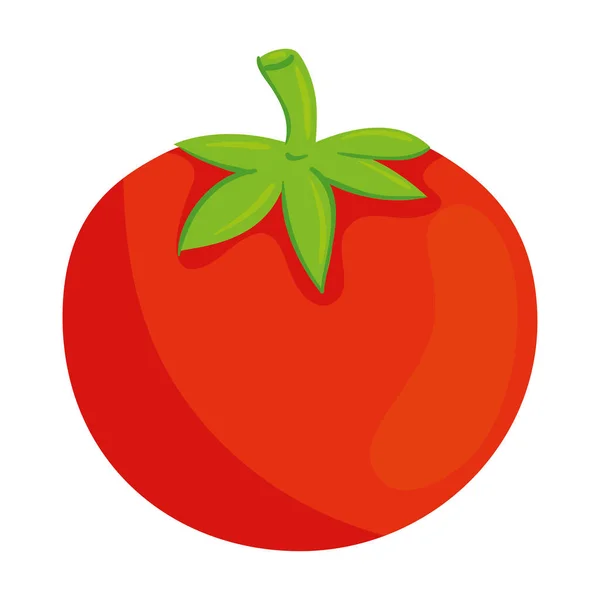 Frisches Tomatengemüse auf weißem Hintergrund — Stockvektor