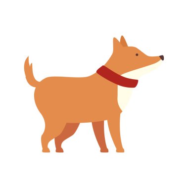 Beyaz arka planda sevimli köpek yavrusu