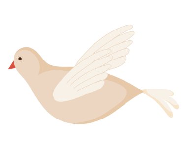 Beyaz arka planda uçan beyaz güvercin