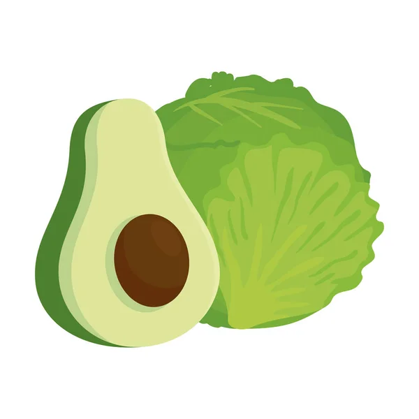 Fresh healthy lettuce with fresh avocado, on white background — Stock Vector