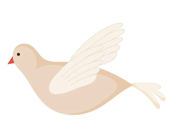Beyaz arka planda uçan beyaz güvercin — Stok Vektör