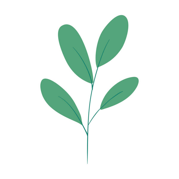 branch with leaves nature on white background