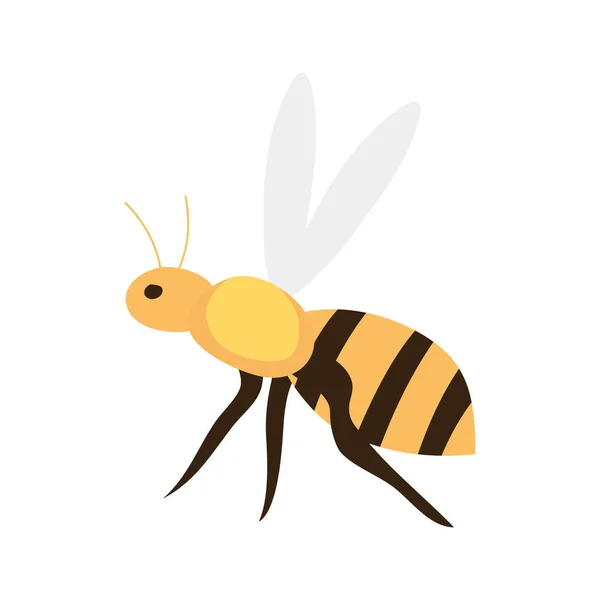 Значок пчелиного насекомого на белом фоне — стоковый вектор