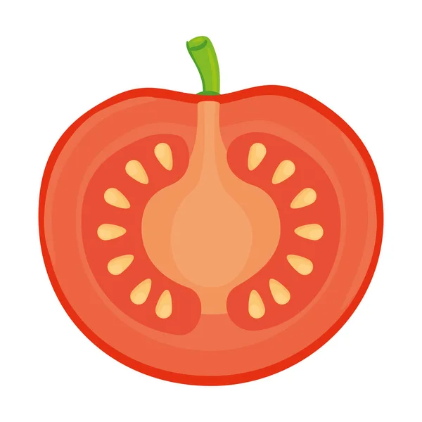 Verdura de tomate medio fresco en fondo blanco — Vector de stock