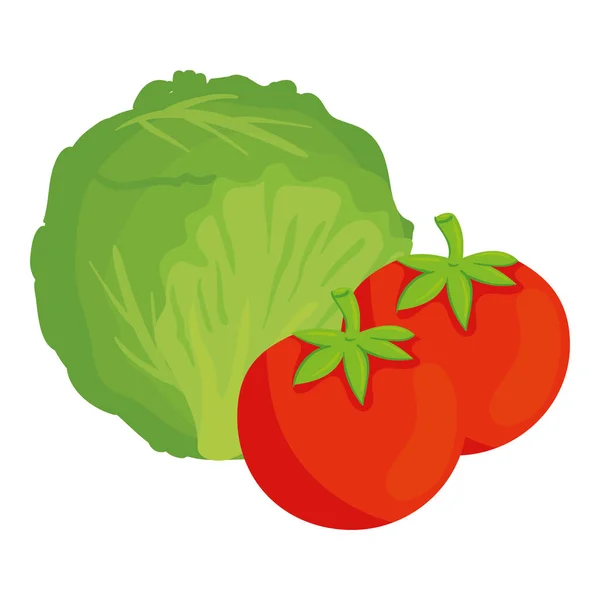 Alface fresca e saudável com tomate, sobre fundo branco —  Vetores de Stock