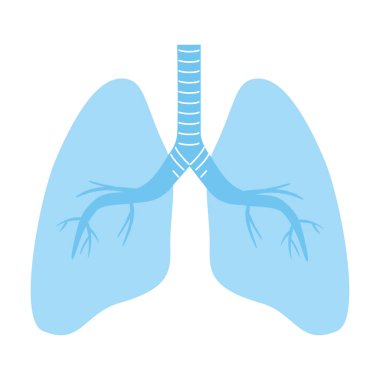 İzole akciğerler ikon vektör tasarımı