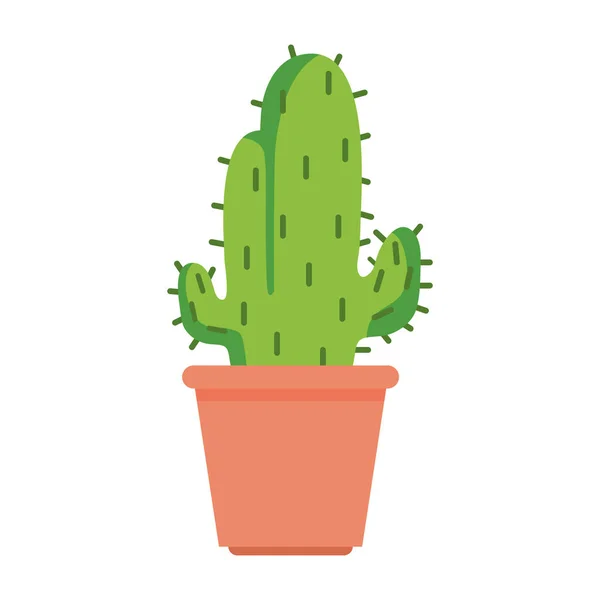 Planta de cactus dentro de diseño de vector de olla — Archivo Imágenes Vectoriales