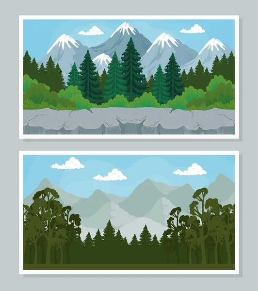 Paisaje de pinos banners vector de diseño — Vector de stock