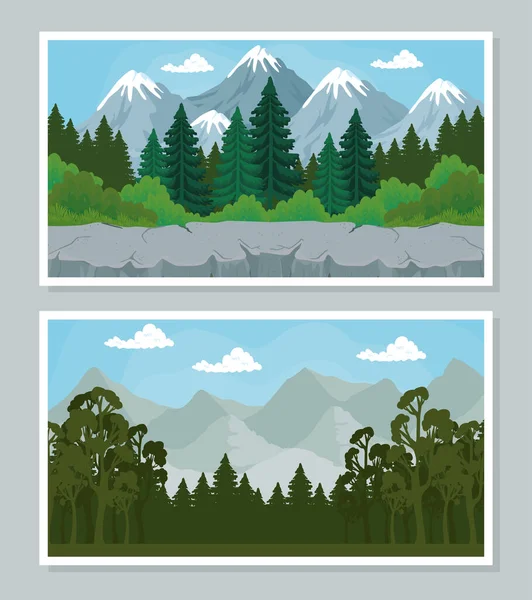 Landscape of pine trees banners vector design — Stock Vector