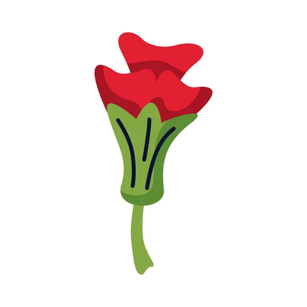 Vacker ros blomma trädgård platt stil ikon — Stock vektor