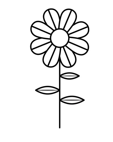Cute sunflower garden isolated icon — Stock Vector