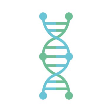 İzole edilmiş DNA yapı taşıyıcı tasarımı
