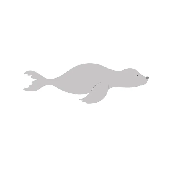 隔离海豹动物病媒设计 — 图库矢量图片