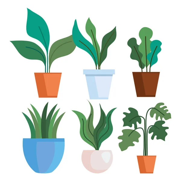 Jardinage des plantes à l'intérieur des pots set vectoriel design — Image vectorielle