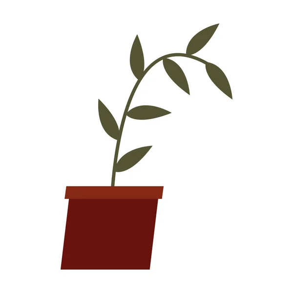 Plant inside pot vector design — Stock Vector