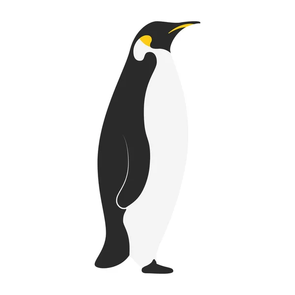 Pequeño pingüino lindo personaje de pájaro — Vector de stock