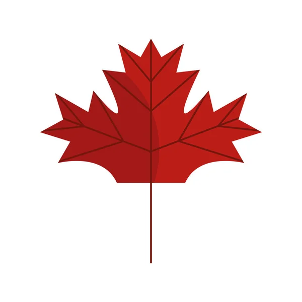 Sonbahar yaprağı ikon vektör tasarımı — Stok Vektör