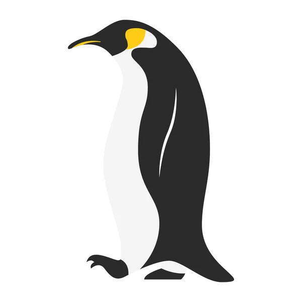 Petit pingouin mignon oiseau personnage de marche — Image vectorielle