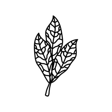 üç yapraklı satır biçimi vektör tasarımı