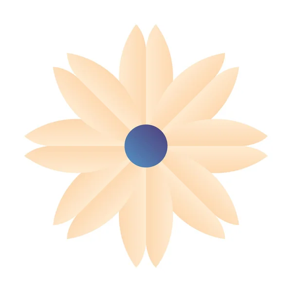 Isolerad blomma ikon vektor design — Stock vektor