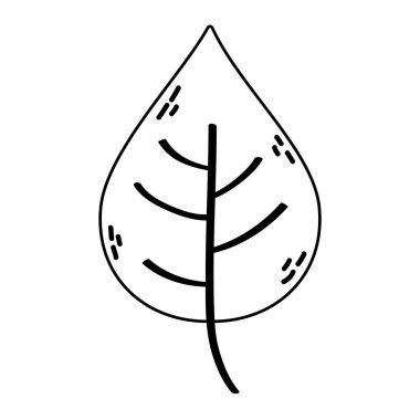 Yaprak bitkisi ekoloji doğa simgesi