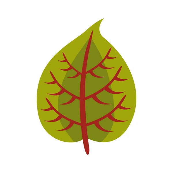 Atum ovate leaf flat style icon — 스톡 벡터